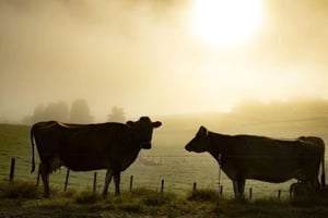 JUN 25 | US tariffs a bigger threat than Covid, Global Financial Crisis