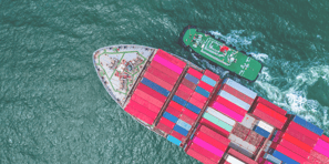 Export NZ End of Year (3)