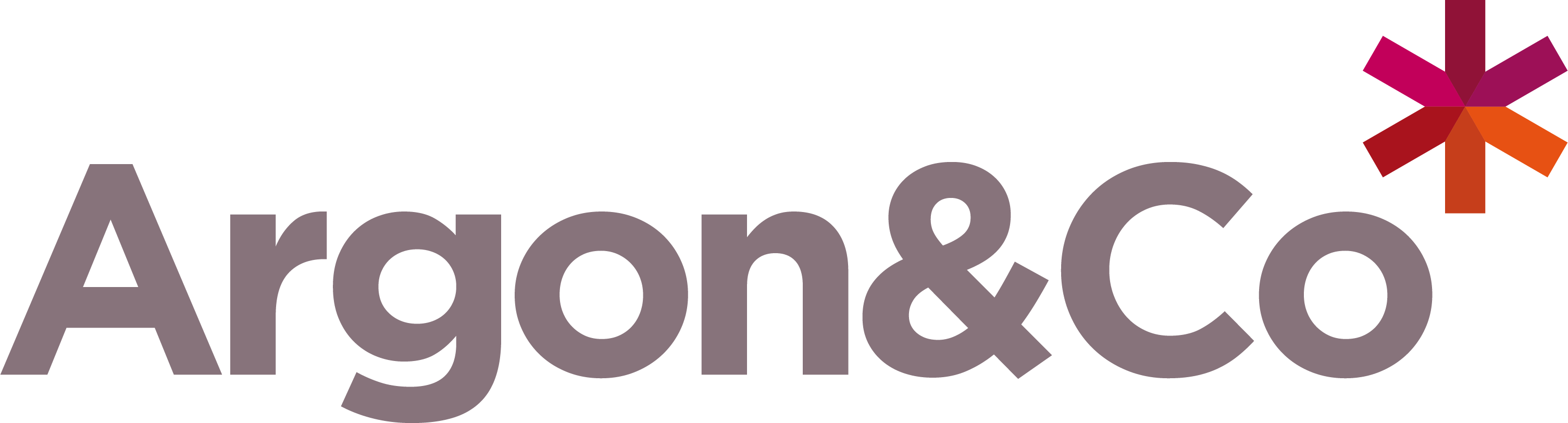 company logo